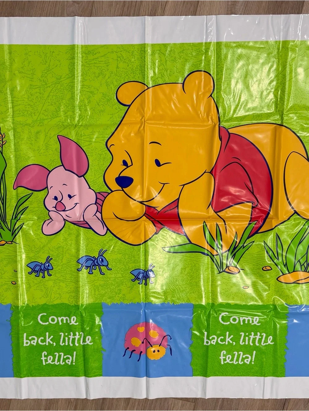 Disney Winnie the Pooh & Piglet Green photo banner 48”x36”